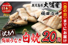 【丑の日までに配送】【訳あり】鹿児島県大隅産！楠田の極うなぎ白焼き 有頭(20尾 2.6kg以上) 国産 鹿児島県産 鰻 不揃い 大容量 真空 冷凍 白焼き うなぎ 訳あり wa11-001-us