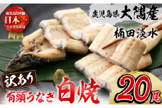 【訳あり】鹿児島県大隅産！楠田の極うなぎ白焼き 有頭(20尾 2.6kg以上) 国産 鹿児島県産 鰻 不揃い 大容量 真空 冷凍 白焼き うなぎ 訳あり wa11-001