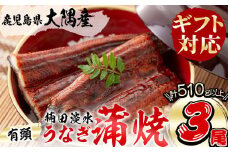 【ギフト対応】楠田の極うなぎ　蒲焼き170ｇ以上×3尾(計510ｇ以上） うなぎ 鰻 ウナギ 国産 鹿児島県産 九州産 蒲焼き 冷凍 うな重 ひつまぶし 母の日