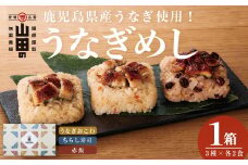 鹿児島県産うなぎ使用！山田のうなぎめし1箱(6食入) うなぎ 鰻 国産 鹿児島 蒲焼き かばやき タレ ご飯 おこわ うなぎめし a4-090