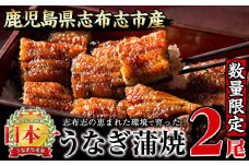 【数量限定】うなぎの大楠＜小＞2尾セット計220g以上(110g以上×2) a1-071