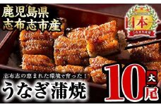 うなぎの大楠＜大＞10尾セット計1.5kg(150g×10尾) うなぎ 鰻 ウナギ 国産 九州産 蒲焼き かばやき 冷凍 うな重 ひつまぶし タレ 山椒 真空パック ランキング 人気 f7-001