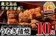 うなぎの大楠＜大＞10尾セット計1.5kg(150g×10尾) うなぎ 鰻 ウナギ 国産 九州産 蒲焼き かばやき 冷凍 うな重 ひつまぶし タレ 山椒 真空パック ランキング 人気 f7-001
