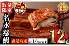 【数量限定】鹿児島県産うなぎ蒲焼 名水慈鰻 12尾(1尾約120g以上)＜計約1.6kg以上＞ f2-003