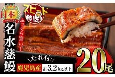 鹿児島県産うなぎ蒲焼 名水慈鰻 20尾(1尾約160g)＜計約3.2kg＞ wa4-001