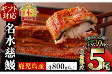 【お中元7月】【数量限定】国産うなぎ蒲焼名水慈鰻5尾（合計800ｇ以上） c0-127-cg7