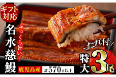 【母の日】鹿児島県産うなぎ蒲焼 名水慈鰻 特大3尾(1尾190g以上)＜計570g以上＞ b1-024-mm