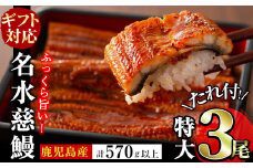 【お中元8月】鹿児島県産うなぎ蒲焼 名水慈鰻 特大3尾(1尾190g以上)＜計570g以上＞ b1-024-cg8