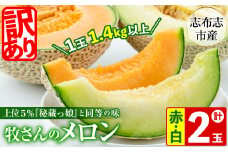 【冬限定・数量限定】牧さんの訳ありメロン 赤玉・白玉 計2玉(赤肉・青肉 各1玉) メロン マスクメロン 果物 くだもの デザート 赤肉 青肉 訳あり b0-104-w