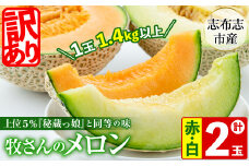 【冬限定・数量限定】牧さんの訳ありメロン 赤玉・白玉 計2玉(赤肉・青肉 各1玉) メロン マスクメロン 果物 くだもの デザート 赤肉 青肉 訳あり b0-104-w
