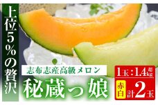 【冬限定】極上メロン「秘蔵っ娘」赤玉・白玉 計2個(赤肉・青肉 各1個) メロン マスクメロン 果物 くだもの デザート 赤肉 青肉 b5-033-w