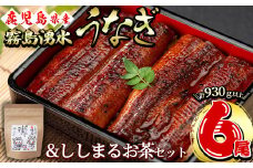 霧島湧水鰻6尾＆ししまるお茶セット 霧島湧水鰻(156g以上×6尾)＆緑茶ティーバッグ(3g×6個) 鹿児島県産 うなぎ ウナギ たれ タレ さんしょう 山椒 セット 緑茶 お茶 うな重 c8-031