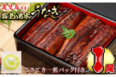 霧島湧水鰻1尾(156g以上)とてきてき一煎1P付きセット 鰻 うなぎ 蒲焼き かばやき うな重 冷凍 鰻重 お茶 緑茶 深蒸茶 深蒸し茶 抹茶 茶葉 ティーバッグ 国産 鹿児島県産 a0-375
