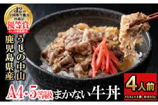 CHUZANのまかない牛丼4人前 計600g(150g×4袋) 黒毛和牛 和牛 肉 牛肉 国産 九州産 鹿児島県産 牛丼 惣菜 日本一 a1-134