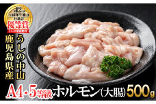 うしの中山 ホルモン(大腸)500g(500g×1袋) 黒毛和牛 和牛 肉 牛肉 国産 九州産 鹿児島県産 ホルモン 焼肉 日本一 p9-028