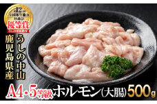 うしの中山 ホルモン(大腸)500g(500g×1袋) 黒毛和牛 和牛 肉 牛肉 国産 九州産 鹿児島県産 ホルモン 焼肉 日本一 p9-028