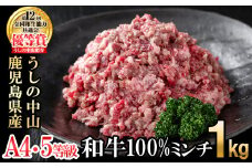 和牛100%ミンチ1kg(500g×2袋) 黒毛和牛 和牛 肉 牛肉 国産 九州産 鹿児島県産 ミンチ ひき肉 ハンバーグ 日本一 a1-132