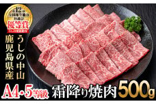 うしの中山 霜降り焼肉用500g×1P 黒毛和牛 和牛 肉 牛肉 国産 九州産 鹿児島県産 焼肉 日本一 b0-200
