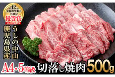 うしの中山 切り落とし焼肉用500g×1P 黒毛和牛 和牛 肉 牛肉 国産 九州産 鹿児島県産 焼肉 日本一 b0-202