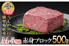 赤身ブロック500g×1P 黒毛和牛 和牛 肉 牛肉 国産 九州産 鹿児島県産 焼肉 赤身 日本一 b0-204