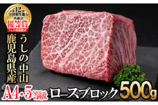 ロースブロック 500g ×1P 黒毛和牛 和牛 肉 牛肉 国産 九州産 鹿児島県産 ステーキ 焼肉 ロース 日本一 c0-126