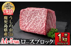 ロースブロック 計1kg(500g×2P) 黒毛和牛 和牛 肉 牛肉 国産 九州産 鹿児島県産 ステーキ 焼肉 ロース 日本一 e5-002
