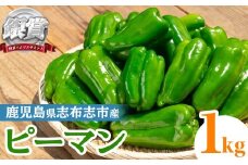 志布志産ピーマン(1kg) ピーマン 野菜 やさい ぴーまん 新鮮 常温 常温保存 おかず 詰め合わせ 銀賞 銀賞受賞 野菜ソムリエサミット p8-149