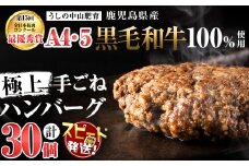【家計応援】【入金確認後、2週間以内に発送】＜和牛切り落とし＋150g付き！＞＜A4・A5等級＞鹿児島県産黒毛和牛100%使用極上手ごねハンバーグ計4.5kg(150g×30個) d0-033-kk-2w