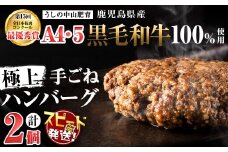 【入金確認後、2週間以内に発送】＜A4・A5等級＞鹿児島県産黒毛和牛100%使用極上ハンバーグ計300g(150g×2個) 黒毛和牛 和牛 ハンバーグ 冷凍ハンバーグ 肉 牛肉 国産 九州産 鹿児島県産 ミンチ 100% 小分け A4 A5 日本一 人気 p9-035-2w