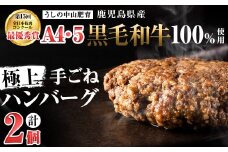 ＜A4・A5等級＞鹿児島県産黒毛和牛100%使用 極上手ごねハンバーグ 計300g（150g×2個）p9-035