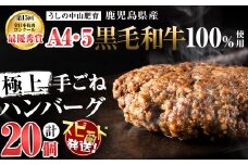 【家計応援】【入金確認後、2週間以内に発送】＜和牛切り落とし＋100g付き！＞＜A4・A5等級＞鹿児島県産黒毛和牛100%使用極上手ごねハンバーグ計3kg(150g×20個) 黒毛和牛 和牛 ハンバーグ 冷凍ハンバーグ 肉 牛肉 国産 九州産 鹿児島県産 ミンチ 100% 小分け A4 A5 日本一 人気 b8-037-kk-2w