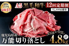 【定期便全12回】＜A4・A5等級＞黒毛和牛万能切り落とし肉 計4.8kg(400g×1P・全12回) 黒毛和牛 和牛 切り落とし 肉 牛肉 国産 九州産 鹿児島県産 すき焼き しゃぶしゃぶ 牛丼 小分け A5 日本一 ランキング 人気 定期便 t0144-001