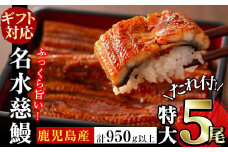 【お歳暮】鹿児島県産うなぎ蒲焼 名水慈鰻 特大5尾(1尾190g以上)＜計950g以上＞ c5-037-os