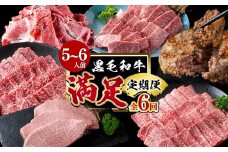 【定期便全6回】＜A4・A5等級＞黒毛和牛堪能〈満足〉定期便（5～6人分）総重量3.9kg 鹿児島県産 黒毛和牛 和牛 肉 牛肉 国産 九州産 鹿児島県産 焼肉 焼き肉 BBQ A4 A5 赤身 切り落とし カルビ お楽しみ 食べ比べ ハンバーグ ミスジ 霜降り ステーキ 5人前 6人前 t0118-002