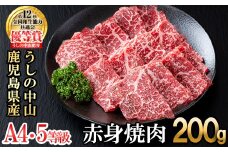 ＜A4・A5等級＞鹿児島県産黒毛和牛 うしの中山 赤身焼肉用200g 黒毛和牛 和牛 肉 牛肉 国産 九州産 鹿児島県産 焼肉 赤身 日本一 a1-144