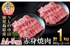 ＜A4・A5等級＞鹿児島県産黒毛和牛 うしの中山 赤身焼肉用 計1kg(500g×2P) 黒毛和牛 和牛 肉 牛肉 国産 九州産 鹿児島県産 焼肉 赤身 日本一 c8-034