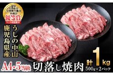 ＜A4・A5等級＞鹿児島県産黒毛和牛 うしの中山 切り落とし焼肉用 計1kg(500g×2P) 黒毛和牛 和牛 肉 牛肉 国産 九州産 鹿児島県産 焼肉 日本一 c4-015