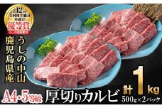＜A4・A5等級＞鹿児島県産黒毛和牛 うしの中山 焼き肉用厚切りカルビ 計1kg(500g×2P) 鹿児島県産 黒毛和牛 和牛 カルビ 肉 牛肉 国産 九州産 焼肉 BBQ 小分け A5 A4 日本一 ランキング 人気 c4-016