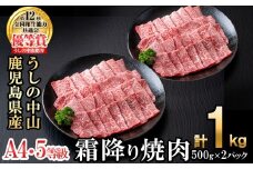 ＜A4・A5等級＞鹿児島県産黒毛和牛 うしの中山 霜降り焼肉用 計1kg(500g×2P) 黒毛和牛 和牛 肉 牛肉 国産 九州産 鹿児島県産 焼肉 霜降り 日本一 c9-005
