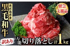 【緊急支援品】【訳あり】黒毛和牛万能切り落とし肉 計1kg（500g×2P）鹿児島県産 黒毛和牛 和牛 切り落とし 肉 牛肉 国産 九州産 赤身 薄切りすき焼き しゃぶしゃぶ カレー 小分け 煮込み 訳あり 訳アリ 切落し a1-143
