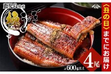 【丑の日までに配送】楠田の極うなぎ 蒲焼き150g以上×4尾(計600g以上) b6-011-us