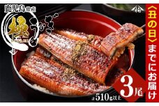 【丑の日までに配送】楠田の極うなぎ蒲焼き 170g以上×3尾(計510g以上) b2-010-us