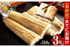 【丑の日までに配送】楠田の極うなぎ 白焼き 170g以上×3尾(計510g以上) b2-012-us