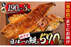 【丑の日までに配送】日ノ本一の鰻の蒲焼き＜大＞3尾セット(計570g以上) b8-022-us