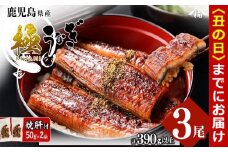 【丑の日までに配送】楠田の極うなぎ蒲焼き 130g以上×3尾(計390g以上) 焼肝2袋付き b0-040-us