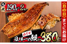 【丑の日までに配送】日ノ本一の鰻の蒲焼き＜大＞2尾(計380g以上) b1-018-us