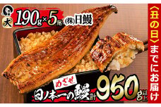 【丑の日までに配送】日ノ本一の鰻の蒲焼き＜大＞5尾セット(計950g以上) d3-001-us
