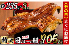 【丑の日までに配送】日ノ本一の鰻の蒲焼き＜特大＞3尾セット(計705g以上) c2-009-us