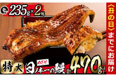 【丑の日までに配送】日ノ本一の鰻の蒲焼き＜特大＞2尾セット(計470g以上) b3-010-us