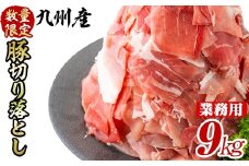 【工場直送 業務用】九州産豚切り落とし＜計9kg(300g×30P)＞ 肉 国産 豚肉 切り落とし 国産 九州産 小分け 真空パック しゃぶしゃぶ c0-137